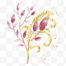 酒红红图片_金枝蕨类植物与酒红树枝婚礼花束