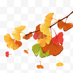 秋天银杏树飘落植物金秋叶子树叶