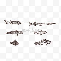 河流logo图片_海洋生物湖泊生物动物海鲜生鲜鱼
