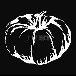 食物黑色背景图片_大熟甜南瓜孤立在黑色背景上的白