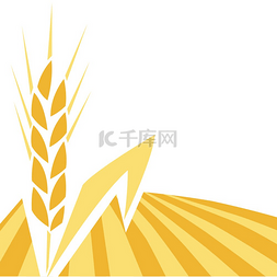 与小麦的背景。