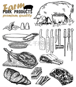矢量手绘与肉类产品插图。猪肉厨