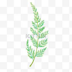 蕨剪贴画绿色植物叶子插画