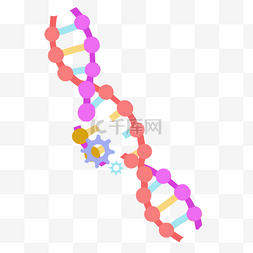 汗腺细胞图片_基因编辑技术人体细胞研究