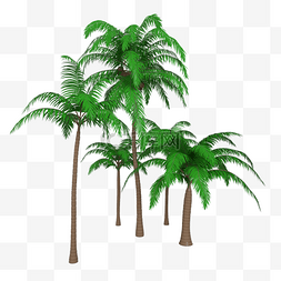 C4D海岛椰子树模型
