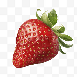 手绘逼真写实草莓