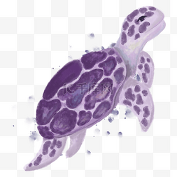 海龟水彩风格海报