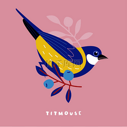 可爱的春天鸟背景图片_可爱的明信片，上面有鸟类、蓝莓