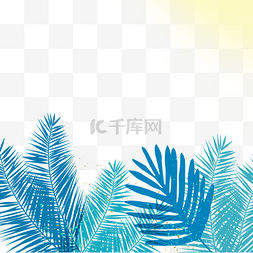 椰子树叶素材图片_蓝青色棕榈树椰树树叶边框