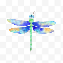 设计淡蓝色背景图片_水彩插画蓝色蜻蜓