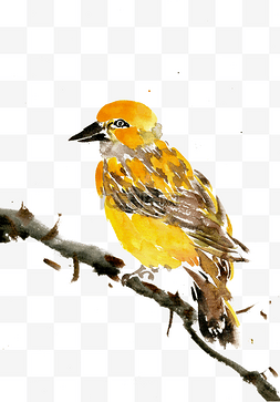 黄色的小鸟水墨