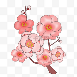 植物花纹装饰图片_日本传统花纹剪纸梅花