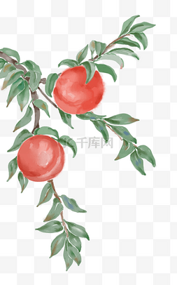 中国风古风树枝水果桃子