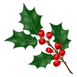 圣诞节活动图片_冬青树枝与浆果的插图。