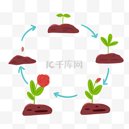 园丁播种培育种花流程