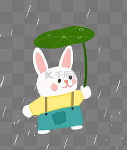 雨水节气春天下雨兔子避雨