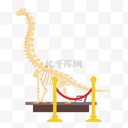 世界博物馆日展览的恐龙骨架