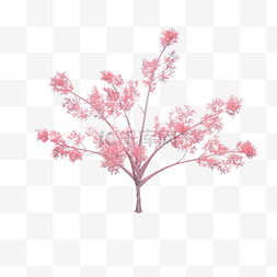 C4D粉色海报树木樱花