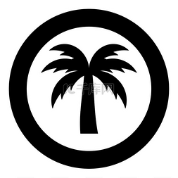 棕榈树轮廓岛概念图标圆形黑色矢