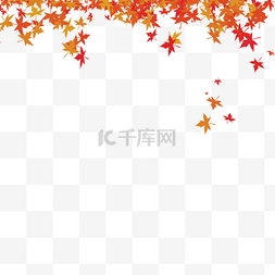 叶子装饰边框图片_秋季植物落叶枫叶