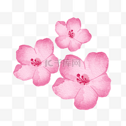 中国风水墨花朵桃花