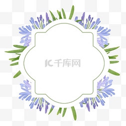 浅蓝色婚礼图片_非洲百子莲水彩花卉创意边框