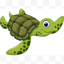 海龟和鳗鱼图片_可爱的海龟卡通