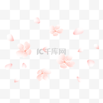 大家都在下的樱花素材