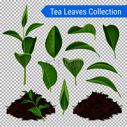 茶叶图片_一组逼真的绿叶和成堆的干茶叶在