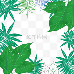 热带植物叶子边框图片_水彩绿色热带植物叶子边框