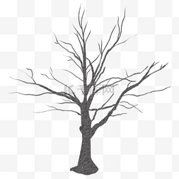 psd立面树图片_素描树枝树干黑色线描