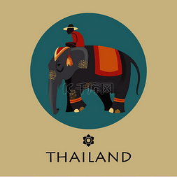 泰国旅游大象图片_戴帽子的司机骑着大象。