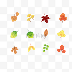 叶子组合图片_秋季树叶叶子组合