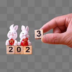兔年2023数字兔子