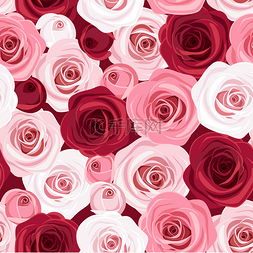 红色和粉色玫瑰的无缝图案。矢量