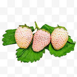 白色草莓水果美食