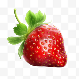 手绘写实水果草莓