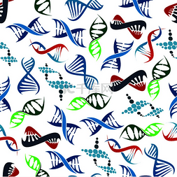 螺旋模式图片_五颜六色的无缝人类 DNA 螺旋图案