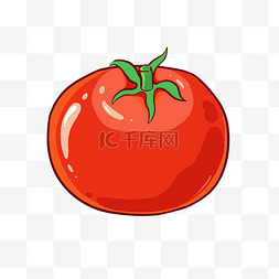 手绘红色植物图片_蔬菜西红柿红色植物卡通