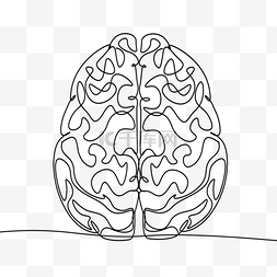 大脑皮层组织线条画抽象