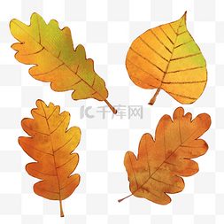 颜色丰富图片_颜色丰富的水彩秋季树叶组合