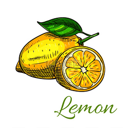整片图片_柠檬孤立的柑橘类水果整片和半片