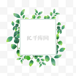 邀请函边框绿色图片_水彩渐变尤加利叶子植物婚礼边框