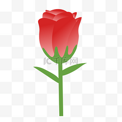 情人节玫瑰花植物红色卡通手绘