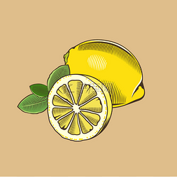 葡萄料理图片_柠檬中的复古风格。彩色的矢量图