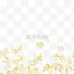 金色蝴蝶边框