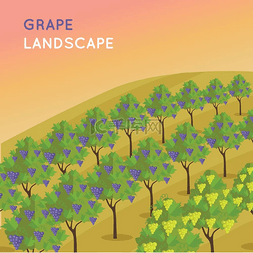 卡通农业种植图片_葡萄种植园种植葡萄树。