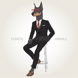 dog图片_Dog dressed up in black suit