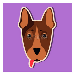 斗牛犬的小狗脸在紫色背景上特写