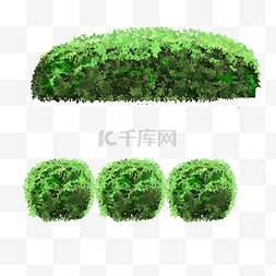绿化草丛灌木丛